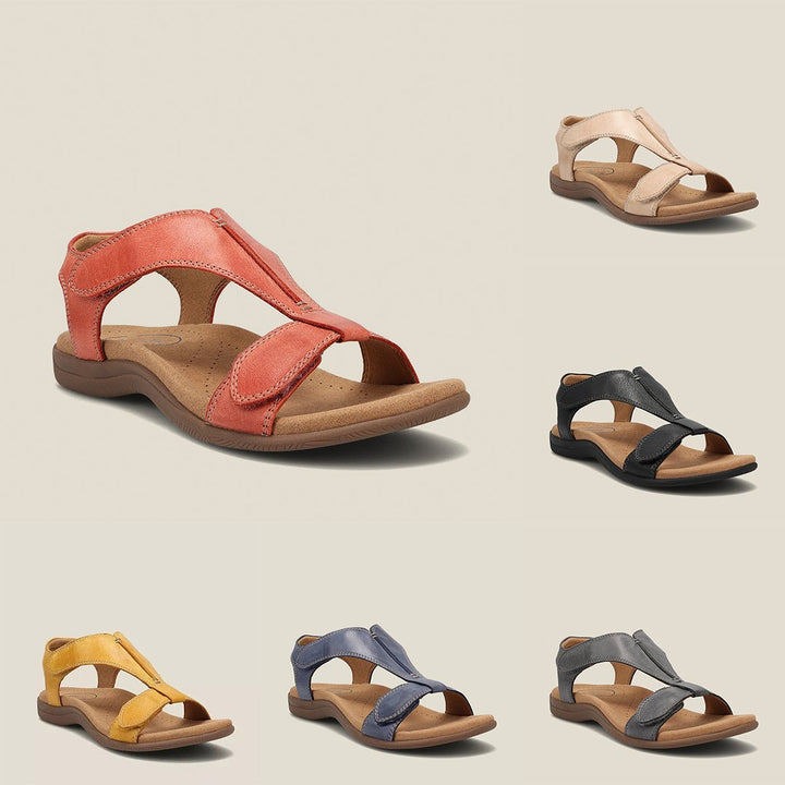 Dove | Women&