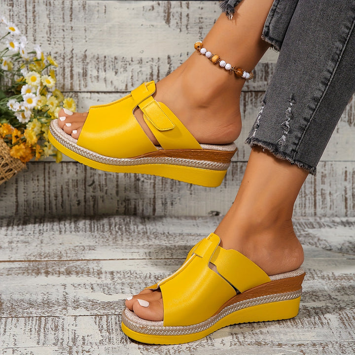 Aster | Women&